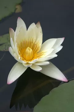 历史数据一览无余